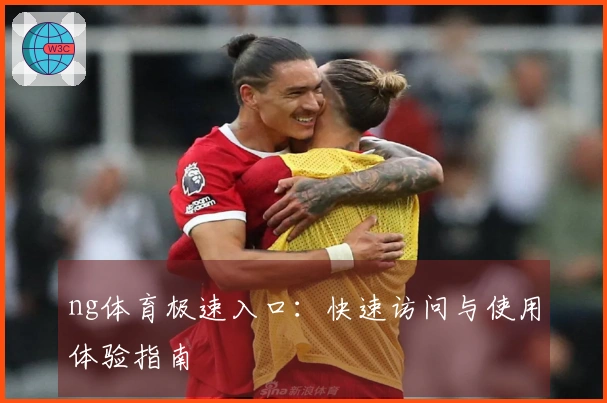 ng体育极速入口:快速访问与使用体验指南
