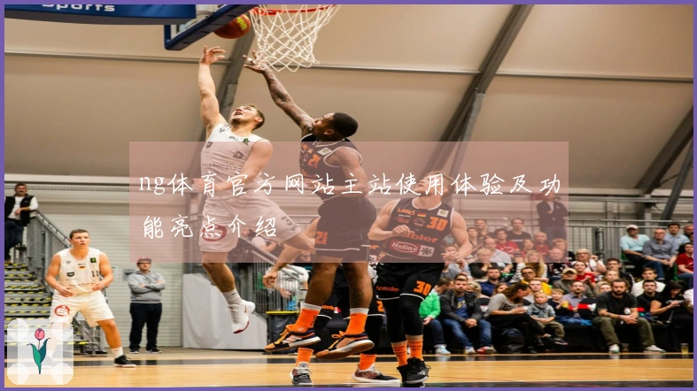 ng体育官方网站主站使用体验及功能亮点介绍