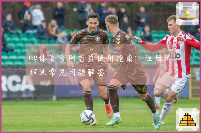 ng体育官网首页使用指南:注册流程及常见问题解答