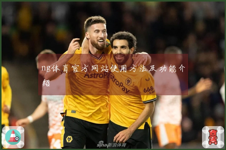 ng体育官方网站使用方法及功能介绍