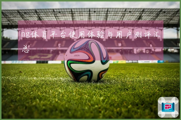 ng体育平台使用体验与用户测评汇总