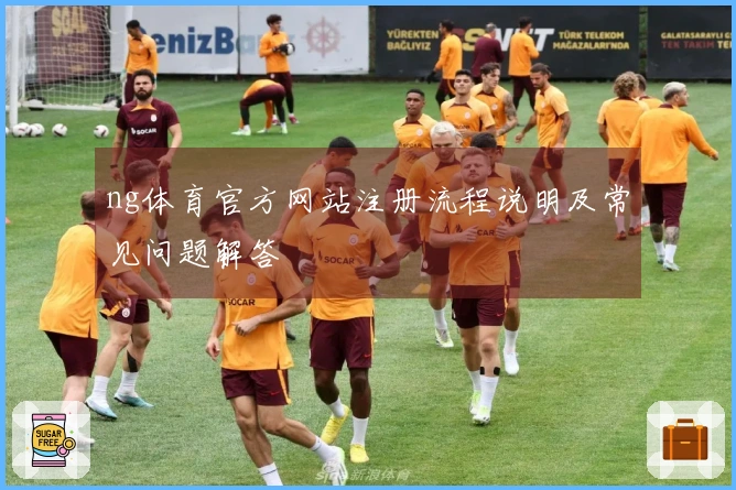 ng体育官方网站注册流程说明及常见问题解答