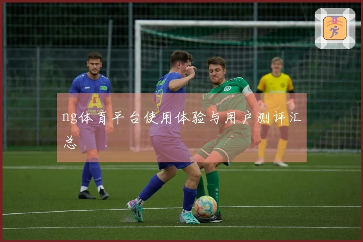ng体育平台使用体验与用户测评汇总