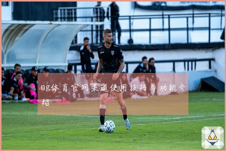 ng体育官网渠道使用技巧与功能介绍