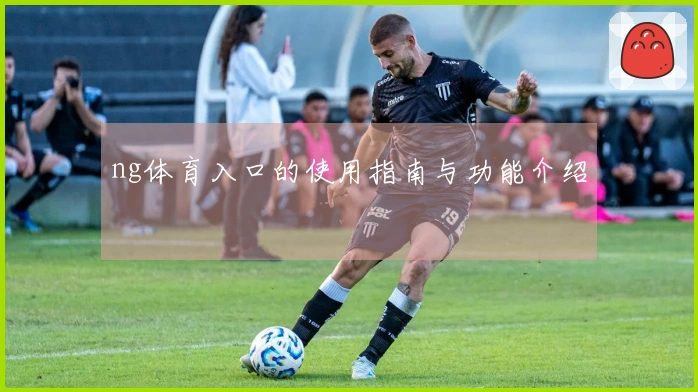 ng体育入口的使用指南与功能介绍