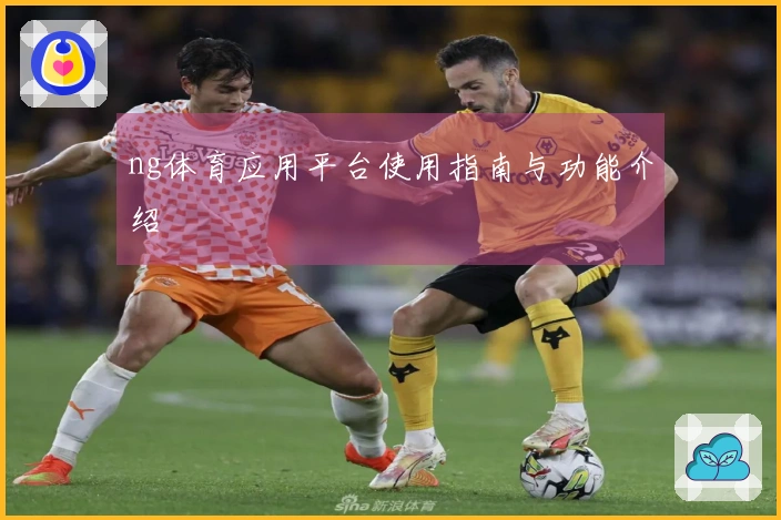 ng体育应用平台使用指南与功能介绍