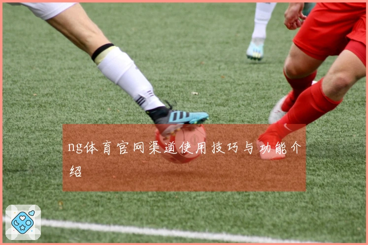 ng体育官网渠道使用技巧与功能介绍