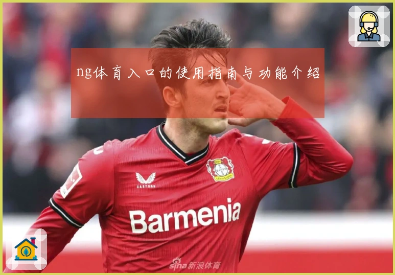 ng体育入口的使用指南与功能介绍