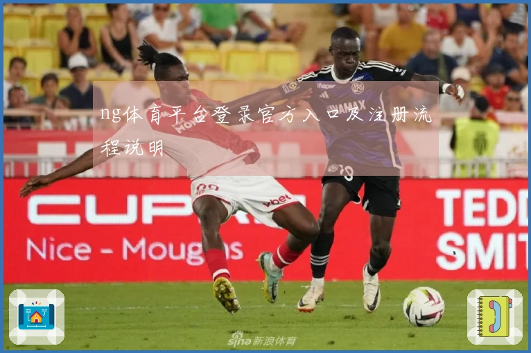 ng体育平台登录官方入口及注册流程说明